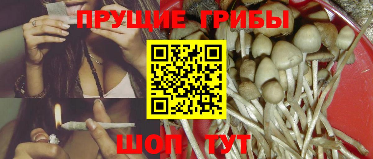 Галлюциногенные грибы мухоморы Ульяновск