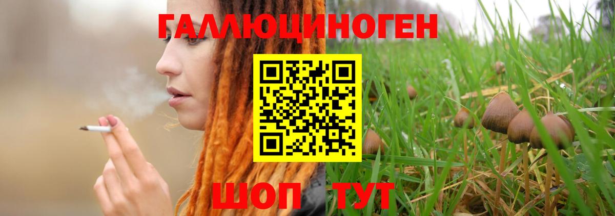 Галлюциногенные грибы прущие грибы  Вход с VPN  Ульяновск  Псилоцибиновые грибы мухоморы 